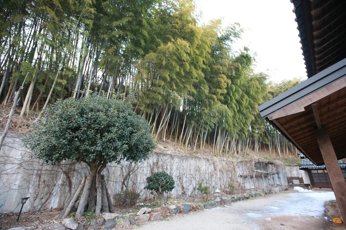 군산 놀거리 어디가 좋을까? 겨울 낭만 가득한 군산 명소 BEST 7