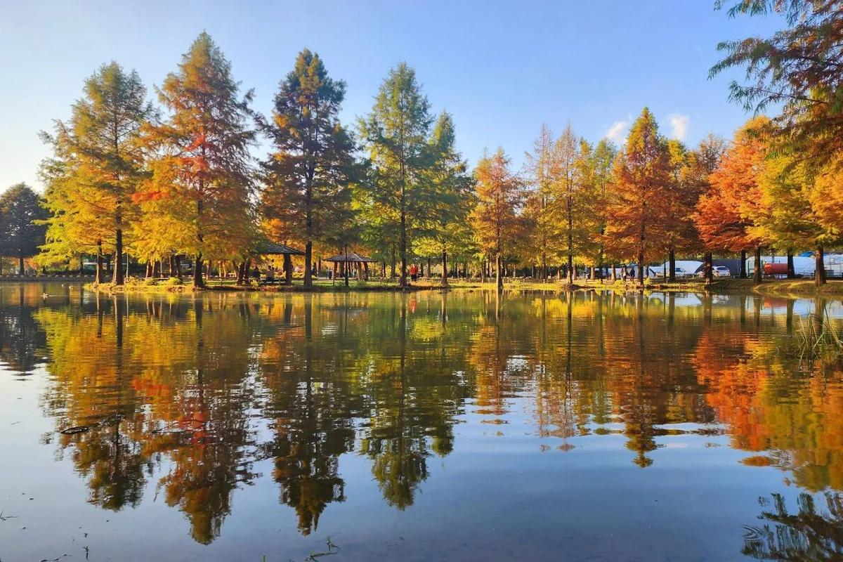 광주 근교 어디가 좋을까? 겨울 낭만 가득한 담양 & 순천만 BEST 5