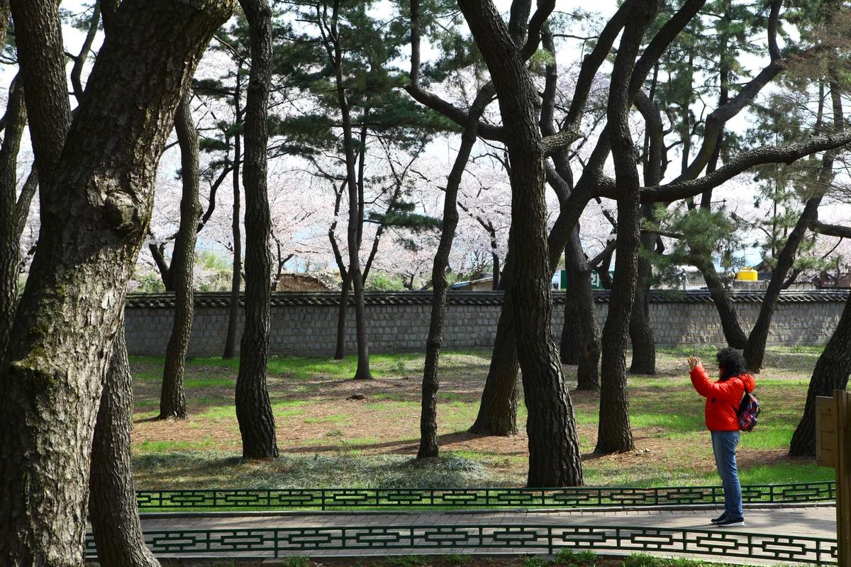 경주 황리단길 여행 어디가 좋을까? 낭만 가득 한옥 거리와 미식 BEST 6