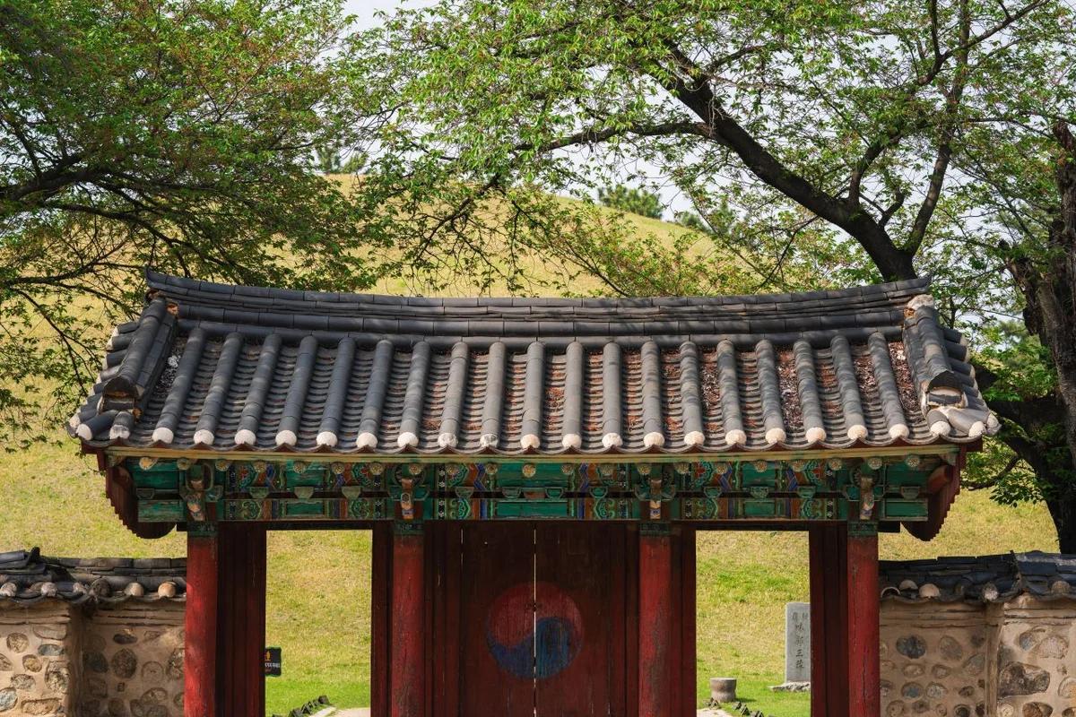 경주 왕릉 어디가 좋을까? 겨울 낭만을 더하는 신라 왕릉 힐링 코스 BEST 6