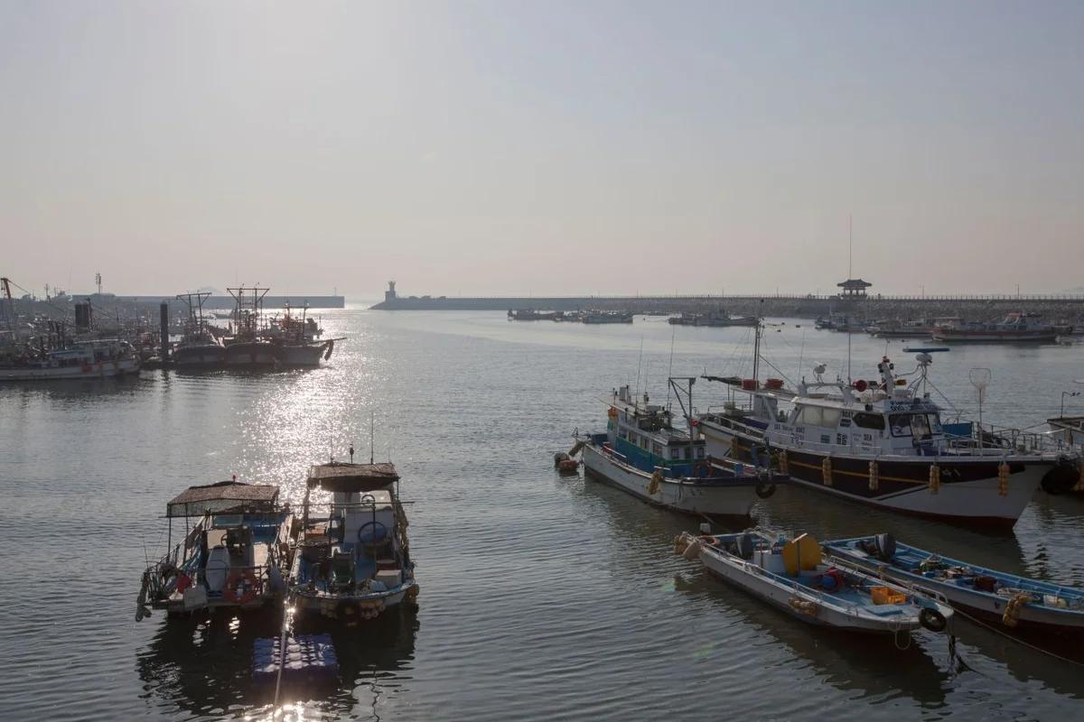 화성 놀거리 어디가 좋을까? 겨울 낭만 가득한 명소 BEST 5