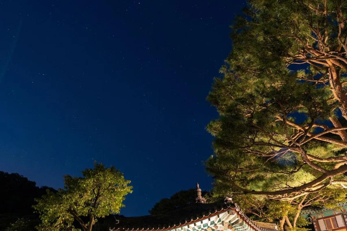 인천 야경 어디가 좋을까? 겨울밤을 환하게 밝히는 명소 BEST 6