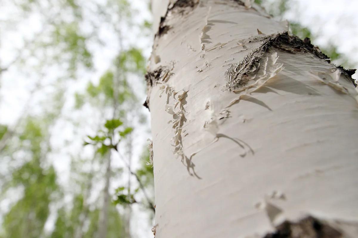 “질주 본능을 깨우다!”… 2026 겨울, 인제 스피디 움과 함께하는 강원도 이색 드라이브 코스 BEST 5
