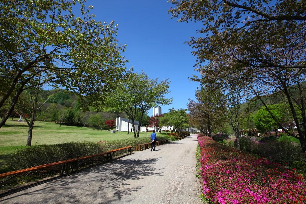 제천 역 시간표 어디가 좋을까? 겨울 힐링 여행 명소 BEST 6