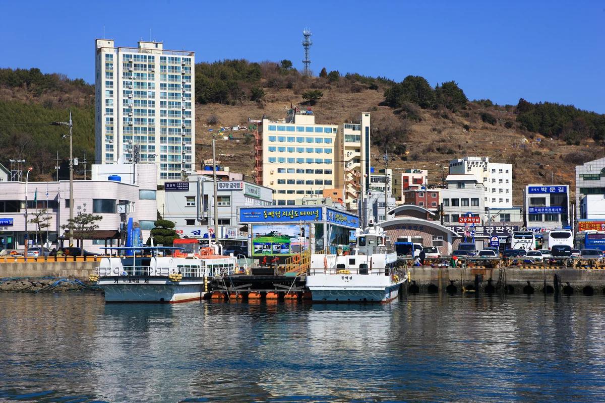 겨울 제주 부산 여행 어디로 떠날까? 해운대와 동백수목원에서 찾는 낭만 BEST 7