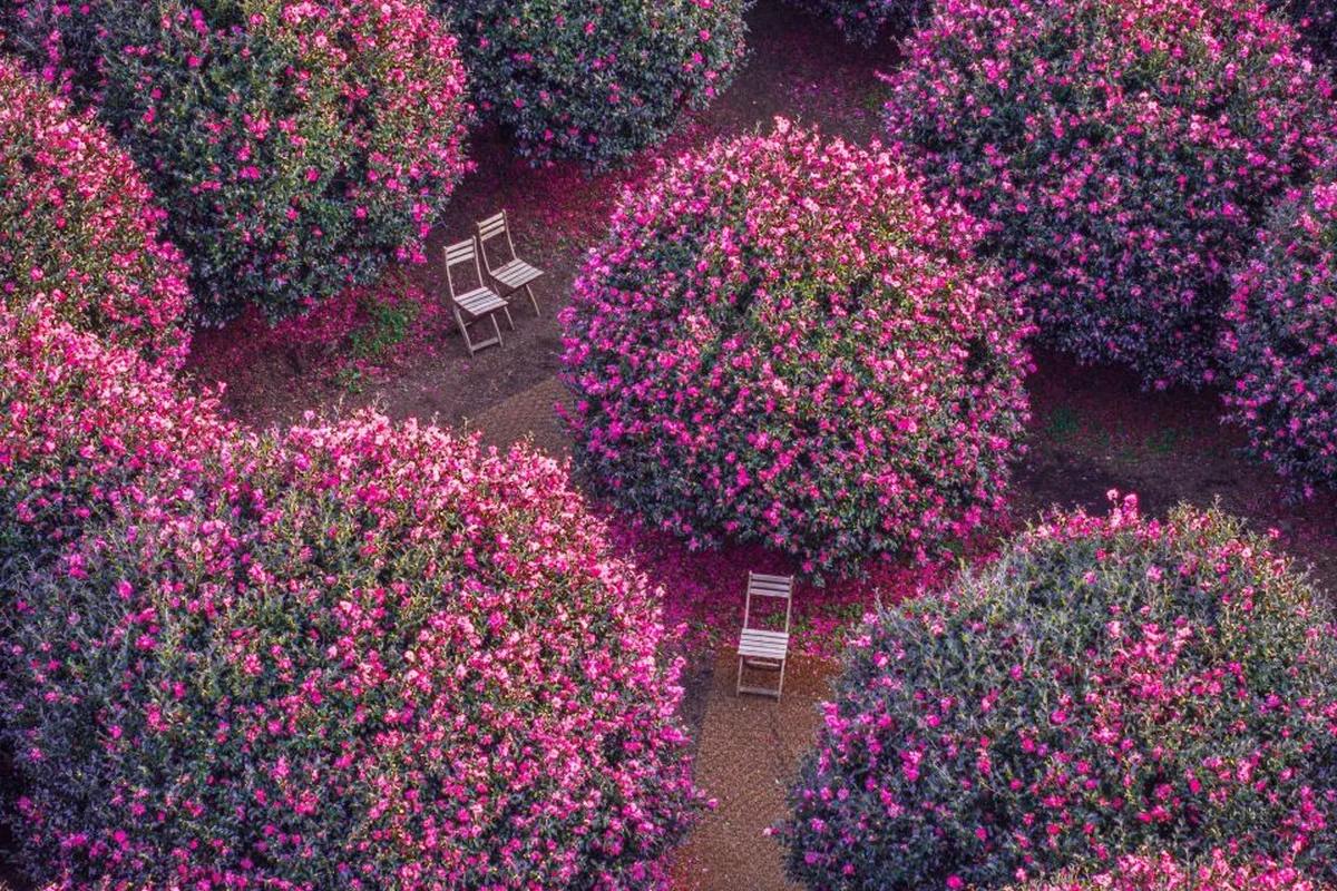 제주 겨울 여행 어디로 갈까? 낭만 가득 제주도 동부 숨은 명소 BEST 6