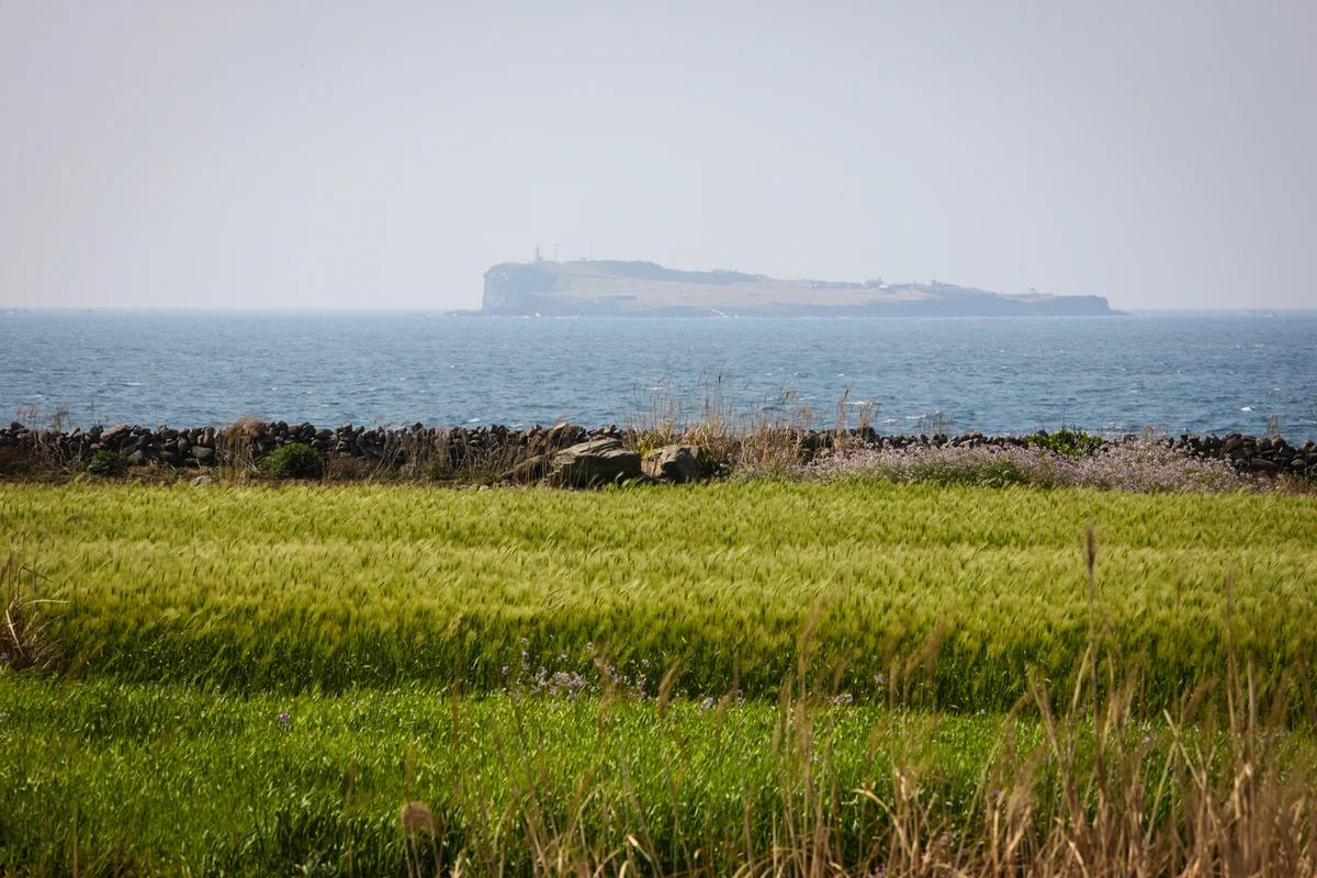 제주 배 어디가 좋을까? 2026 겨울 낭만 섬 여행지 BEST 5