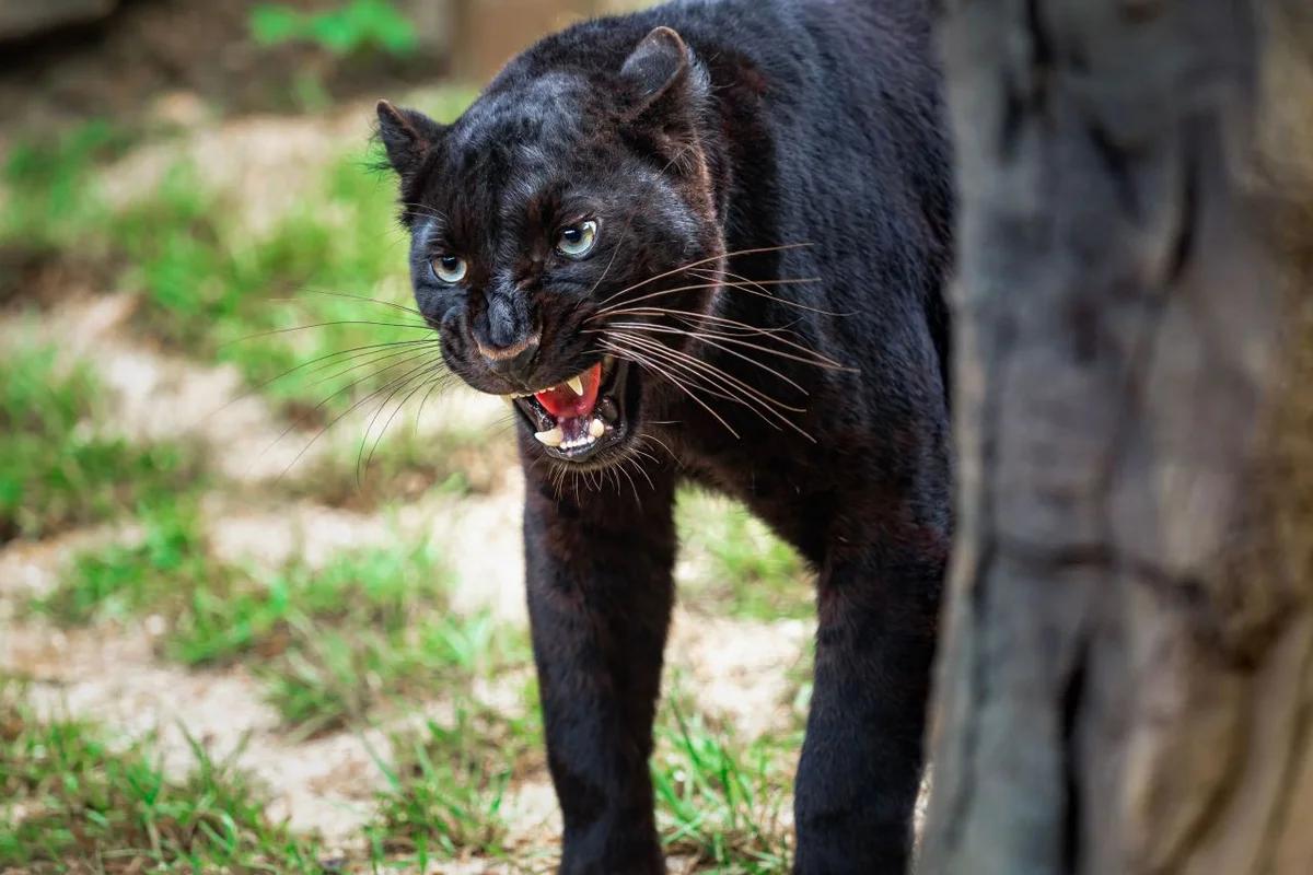 겨울 제주 오션뷰 호텔 어디가 좋을까? 낭만 가득한 힐링 스테이 BEST 6