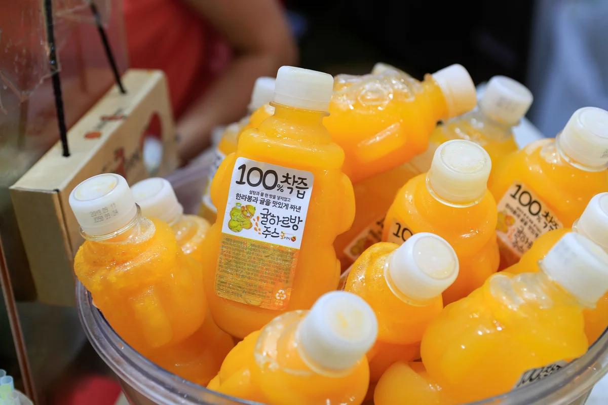 제주 귤 어디가 좋을까? 겨울 낭만 가득한 감귤 체험 농장 BEST 6