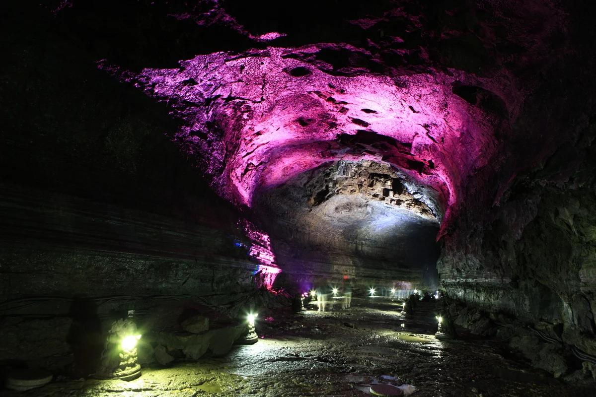 제주도 꼭 가봐야 할 곳 어디? 2월 겨울 낭만 가득 인생샷 명소 BEST 6