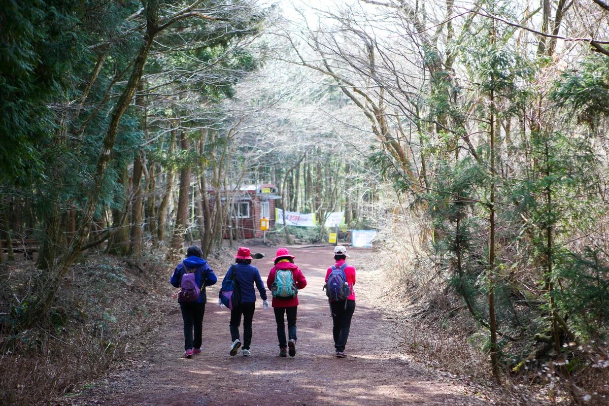 “진정한 쉼, 제주 위드 호텔에서 찾다!”… 2026년 겨울, 제주에서 만나는 평화로운 휴식처 BEST 5