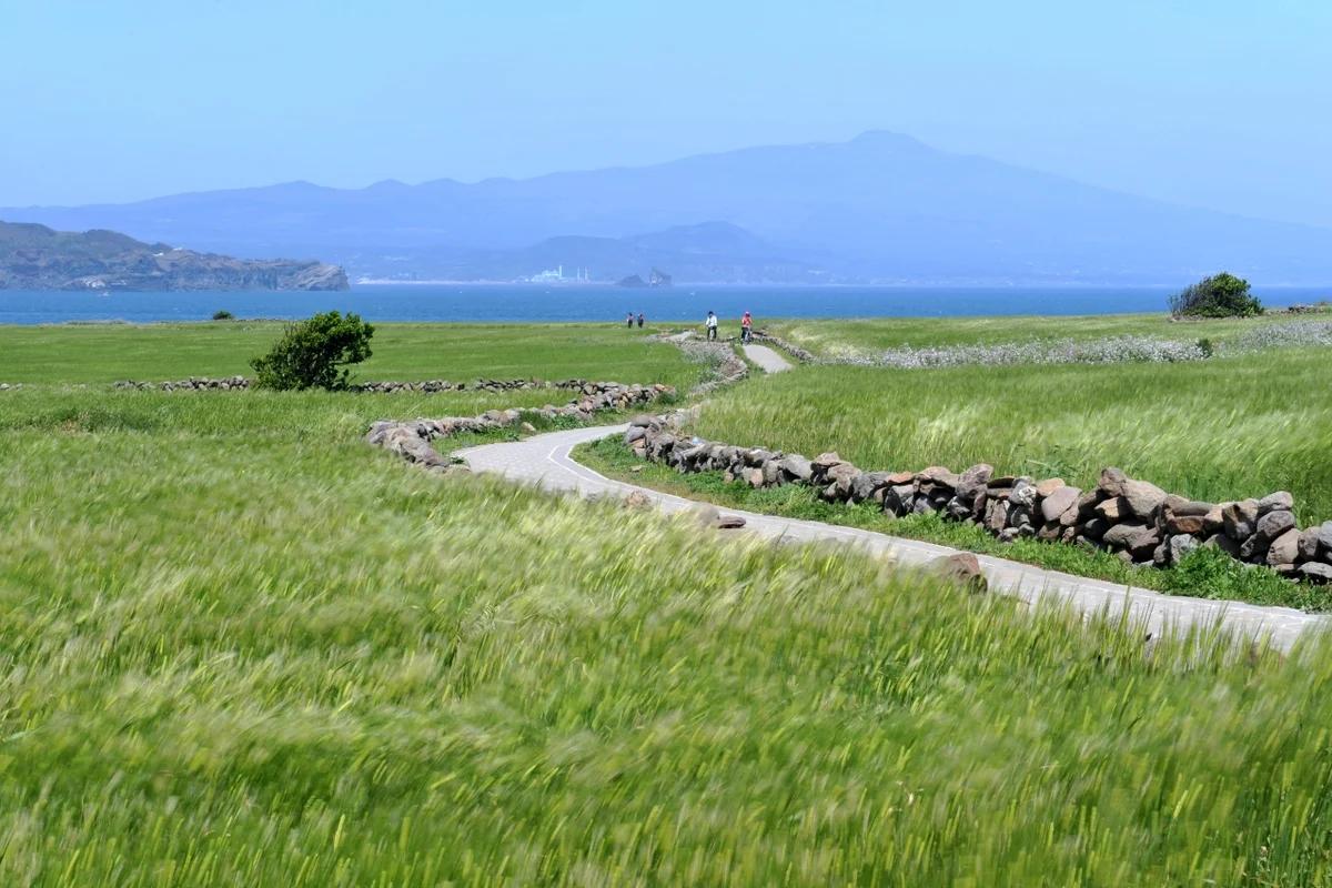 겨울 제주도 옷가게, 따뜻한 감성 한 스푼 더할 5곳 추천