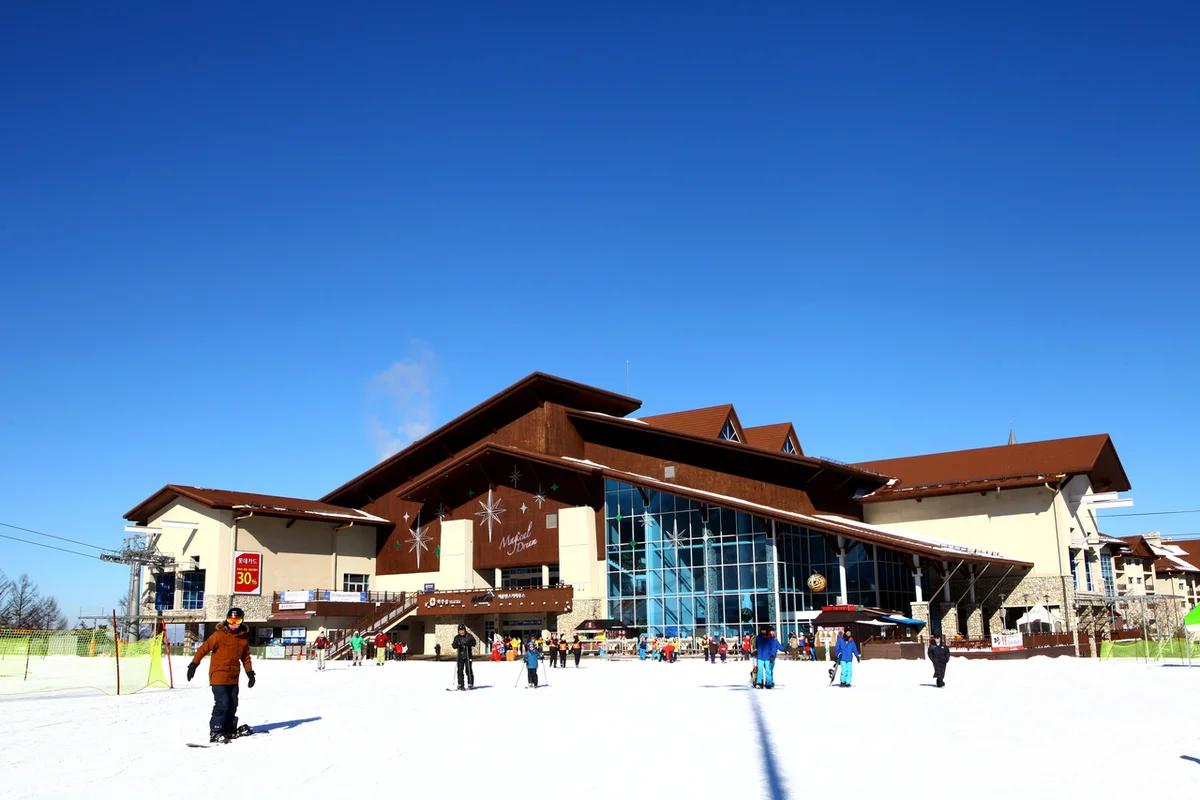 “겨울왕국 속 힐링!”… 2026년 정선 메이힐 스 리조트에서 즐기는 겨울 여행 BEST 5