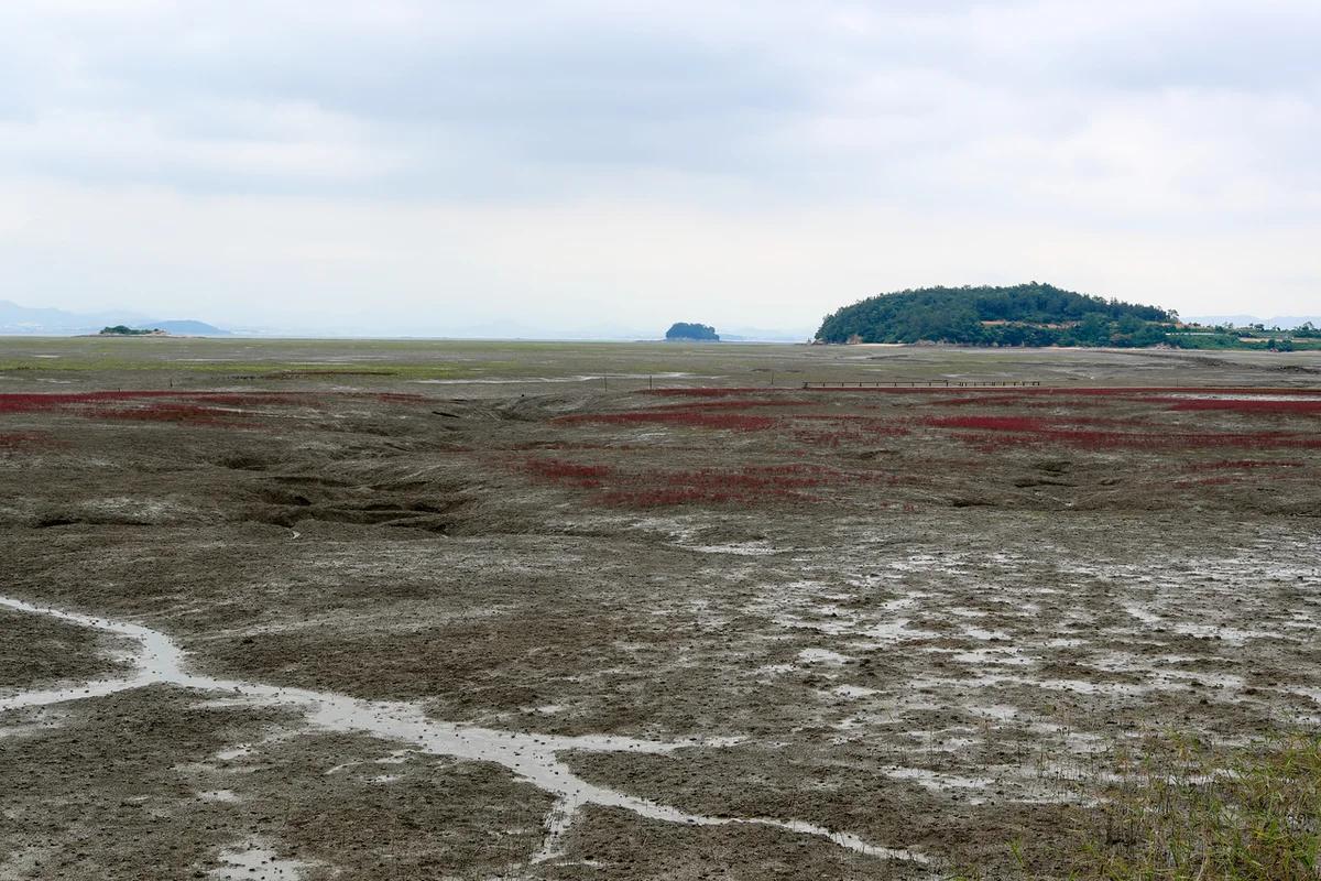 무안 관광 어디가 좋을까? 겨울 낭만 가득한 무안컨트리클럽 & 황토갯벌랜드 BEST 6