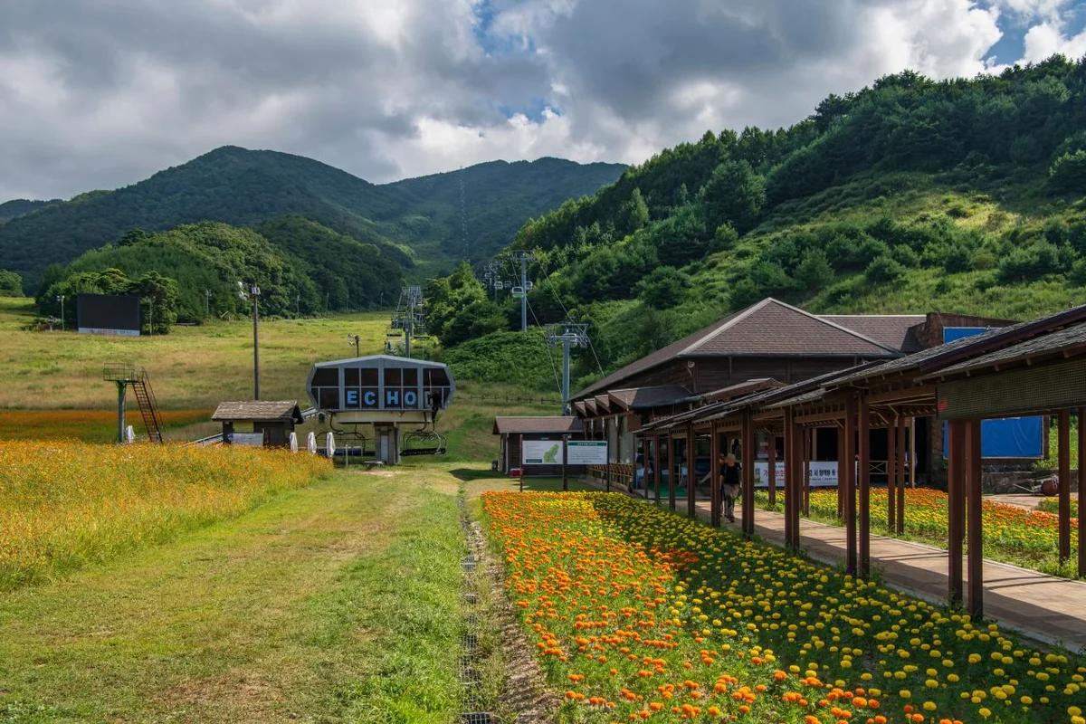 무주 덕유산 리조트 예약, 겨울 설경과 스키 & 온천 여행 BEST 6 어디가 좋을까?