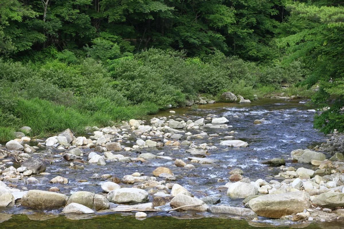 “설국에서 만나는 환상의 겨울 왕국!”… 2026년 평창 위치, 놓치지 말아야 할 명소 BEST 5