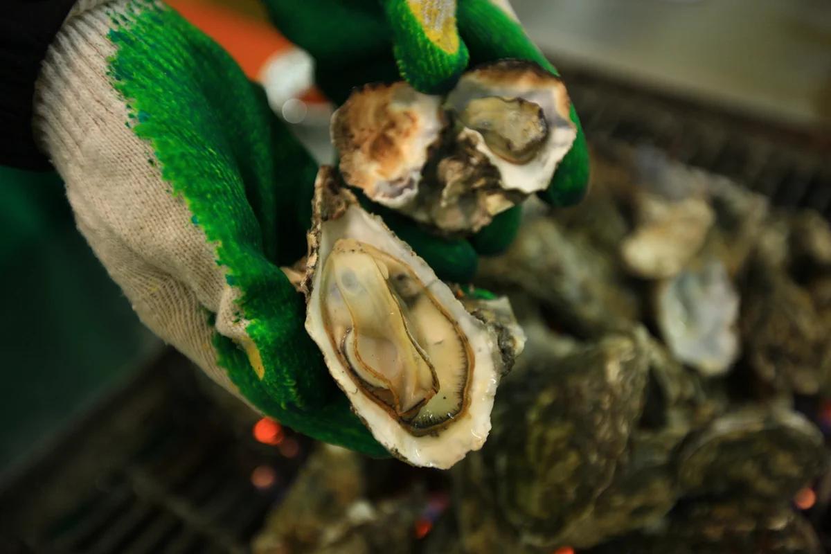 서산시 맛집 어디가 좋을까? 겨울 별미 가득한 현지인 추천 BEST 6