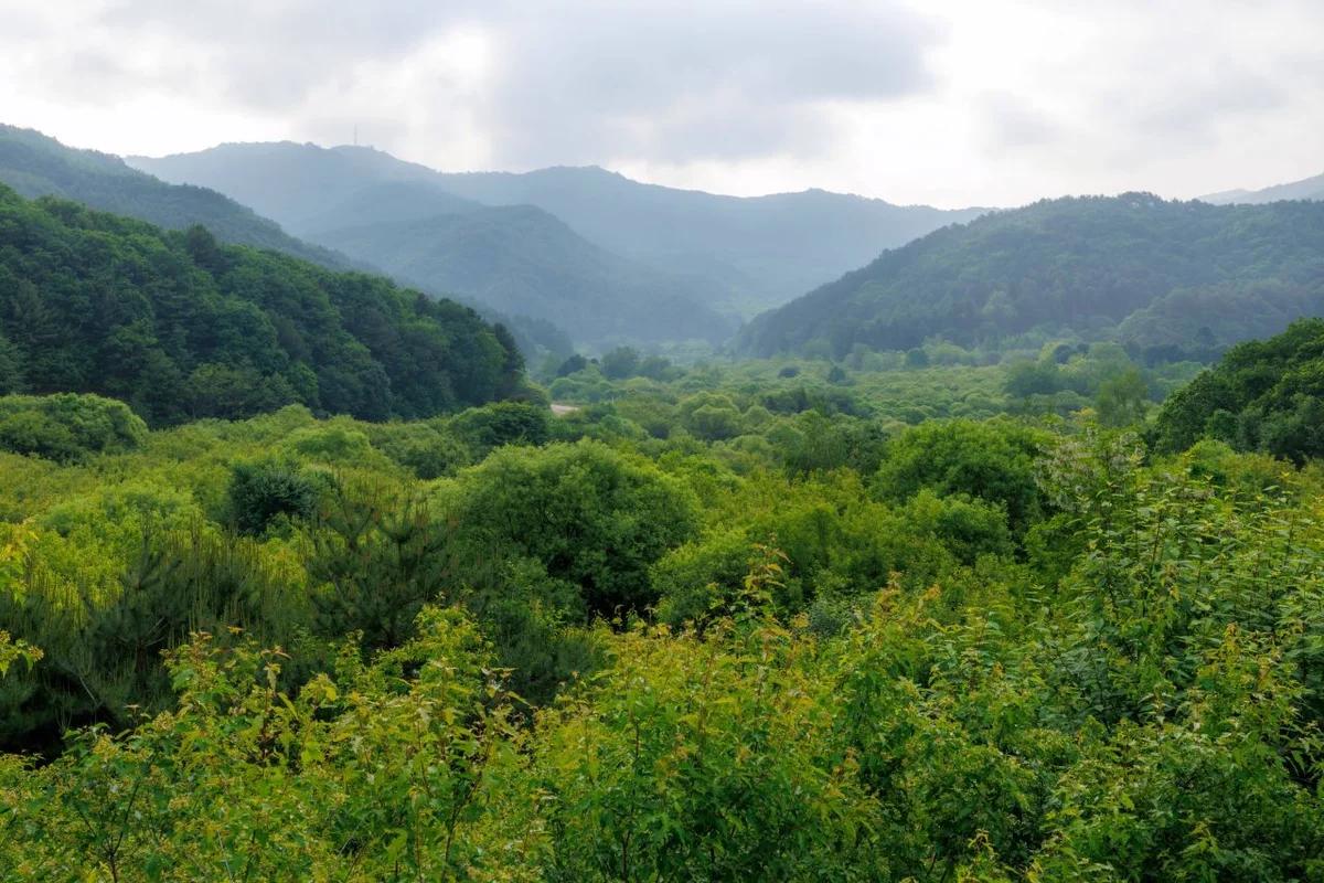 서울 기념일 레스토랑 추천, 로맨틱한 겨울밤을 위한 BEST 6