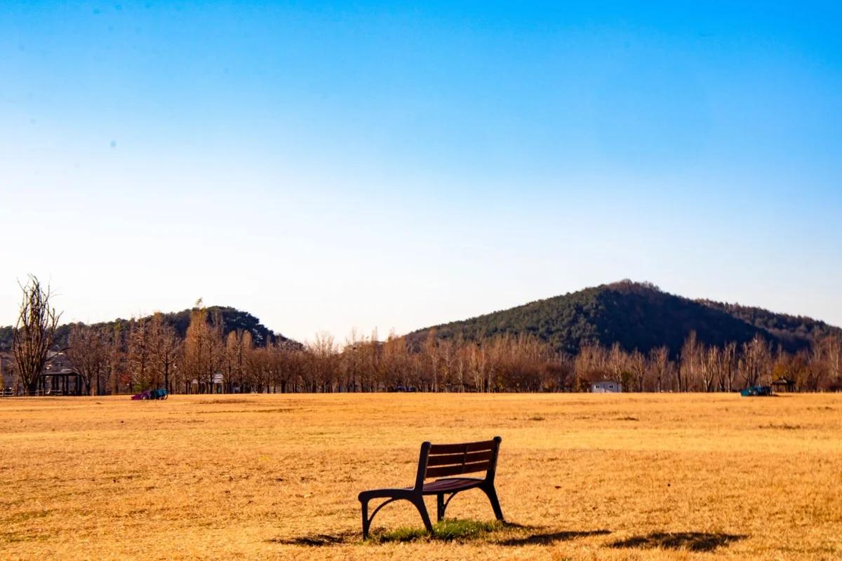 11 월 서울 축제 어디가 좋을까? 아름다운 빛과 전통의 향연 BEST 5