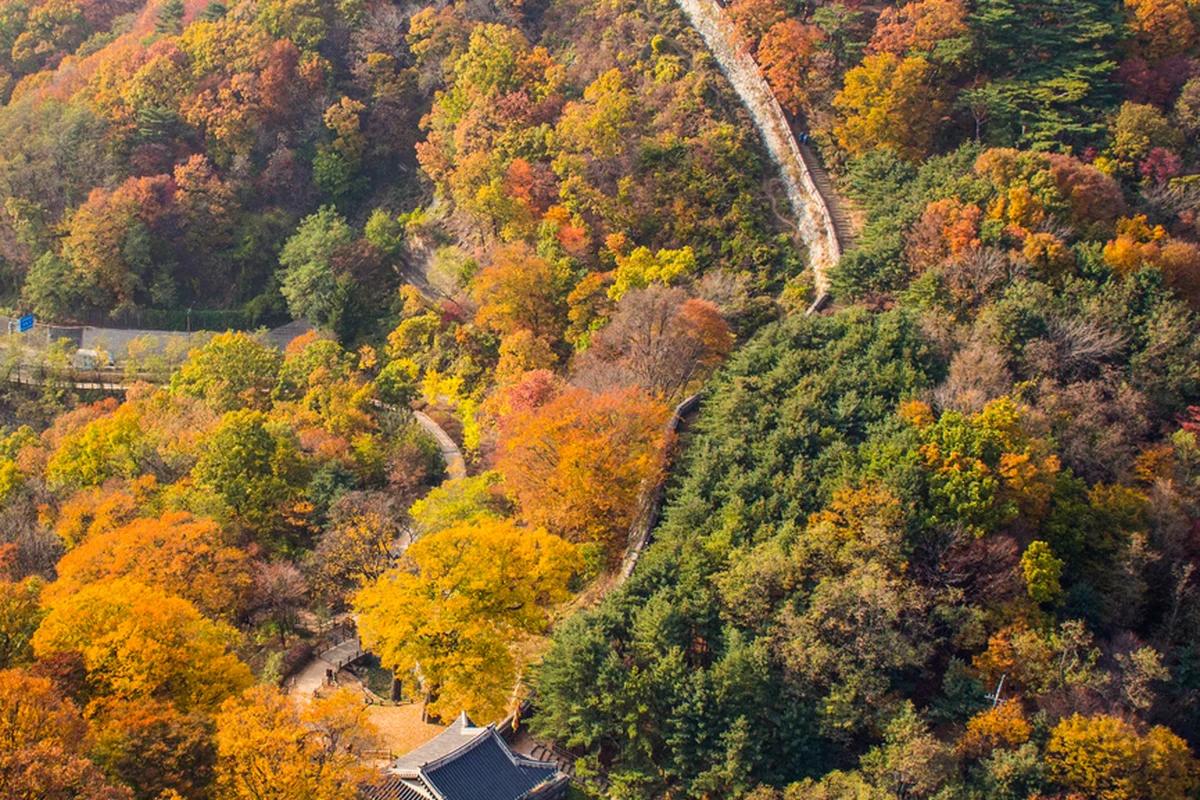 겨울철 서울 운전 난이도, 초보도 자신감! 낭만 가득 드라이브 명소 BEST 6