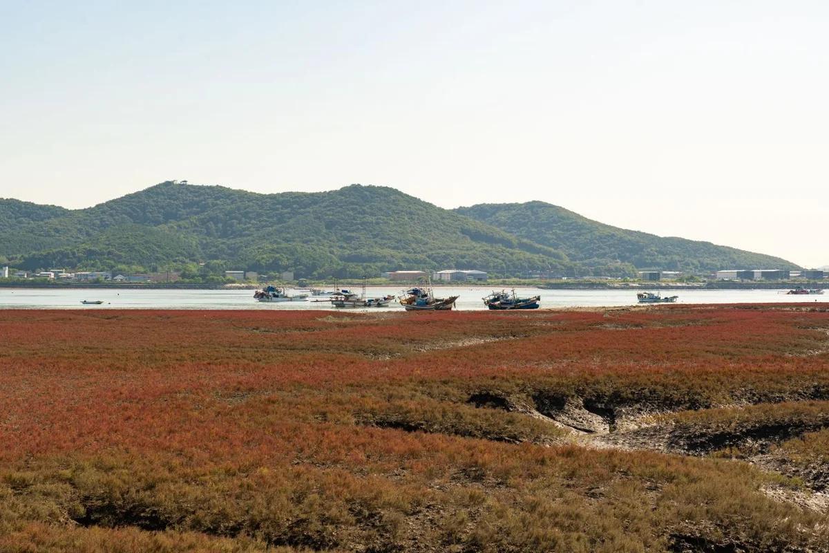 “숨 막히는 설경에 감탄!” 2026년 겨울, 서울 근교 여행 1 박 BEST 5