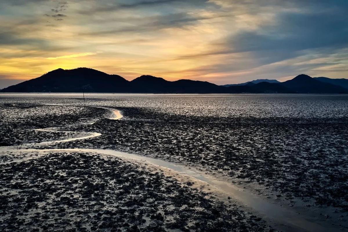 순천 만 s 호텔, 겨울 순천 여행 어디가 좋을까? 순천만습지 & 순천만국가정원 BEST 5