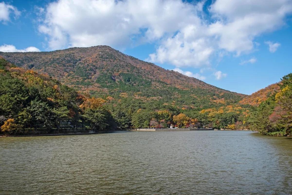 겨울 수원 관광 어디가 좋을까? 설경 가득 수원화성과 따뜻한 행궁동 BEST 6