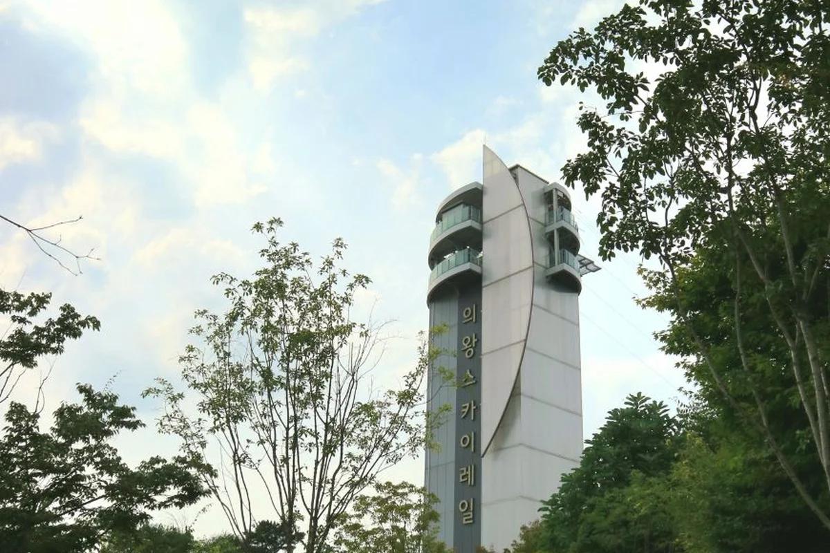 “서울 근교에서 찾는 겨울 낭만!”… 2026년 의왕 가볼만한 곳 BEST 6, 포근한 감성 여행