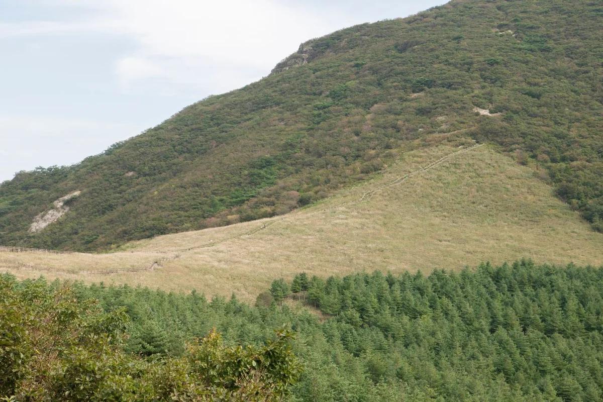 “이 맛에 겨울 울산 오죠!”… 2026년 2월, 놓칠 수 없는 울산 식당 BEST 5