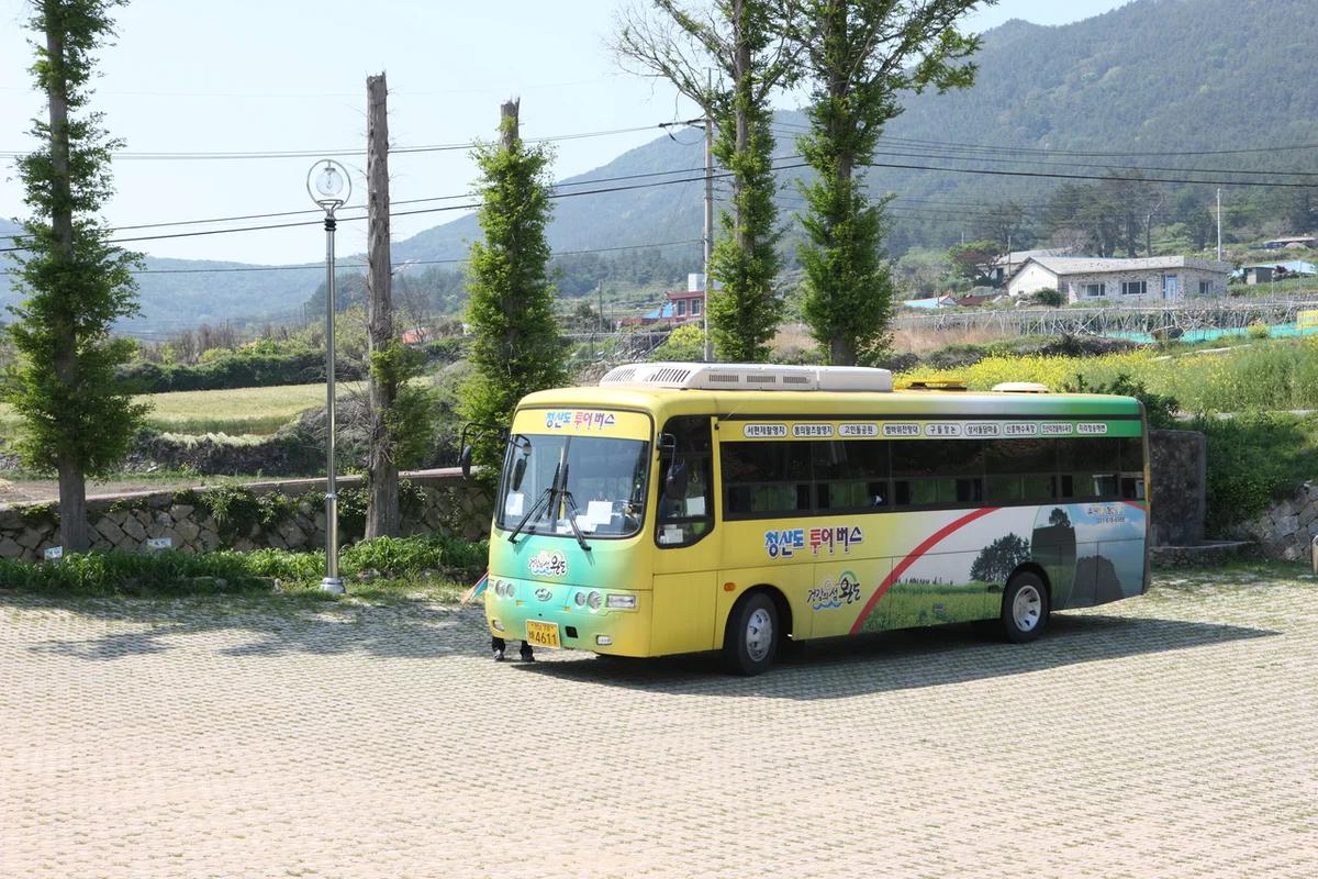 2026 완도 펜션 어디가 좋을까? 겨울 여행을 위한 추천 BEST 5