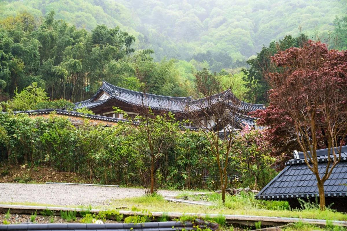 겨울 완주 가볼만한 곳 어디? 설경 속 힐링 명소 BEST 6