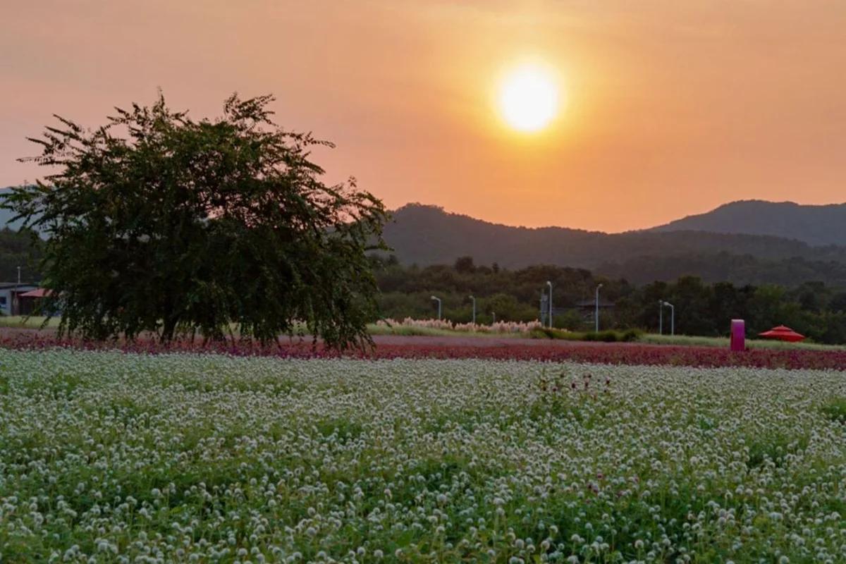 양주 나리 공원 어디가 좋을까? 고요한 겨울 산책 & 힐링 명소 BEST 5