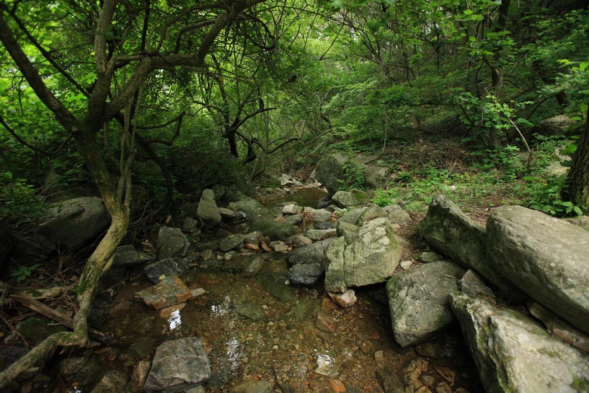 양평 치유 의 숲 어디가 좋을까? 겨울 설경 가득한 힐링 여행지 BEST 6
