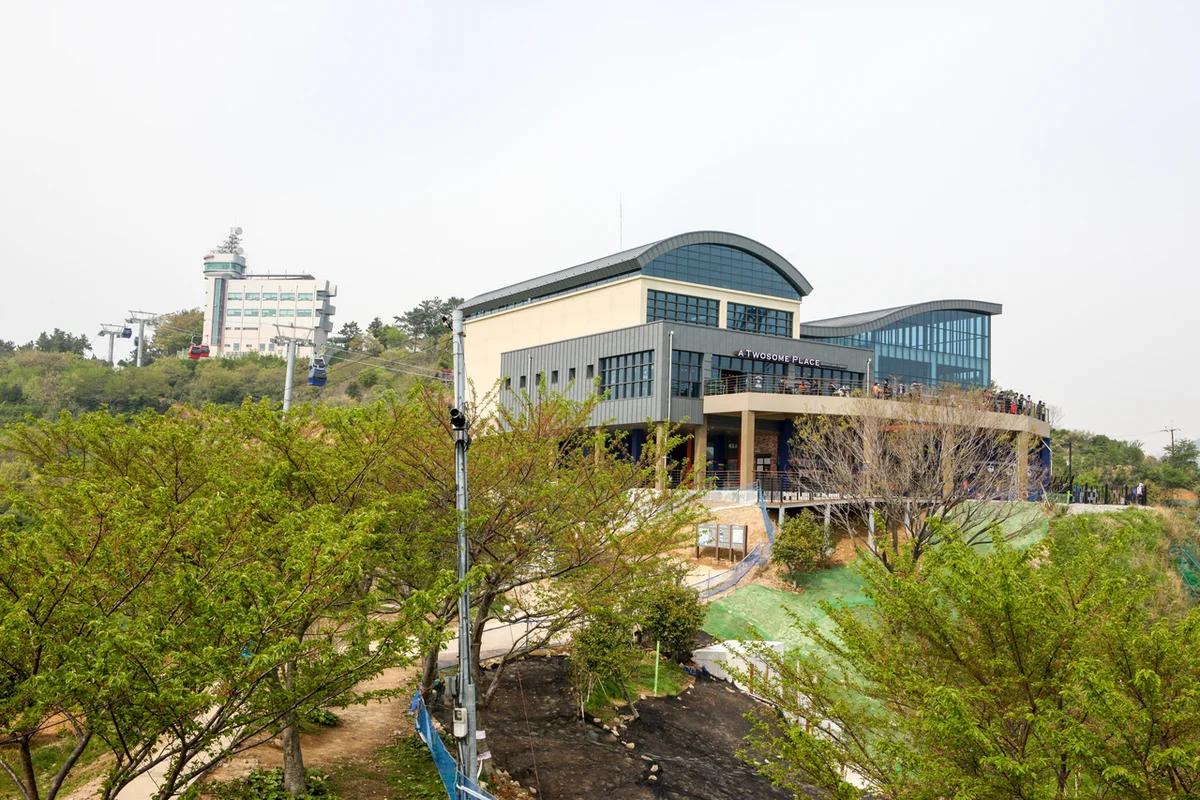 2026년 여수 카페 어디가 좋을까? 겨울 낭만 가득한 오션뷰 명소 BEST 5