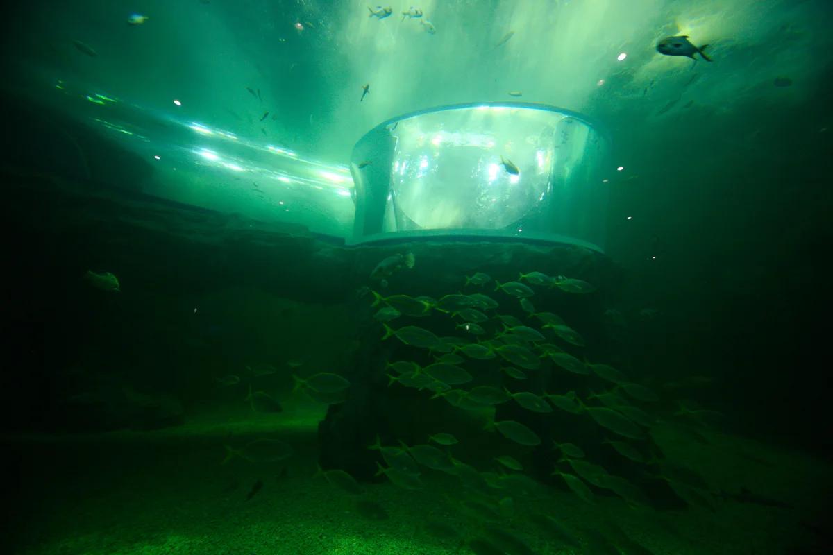 여수 실내 놀거리 어디가 좋을까? 아쿠아플라넷 & 예술랜드 BEST 6