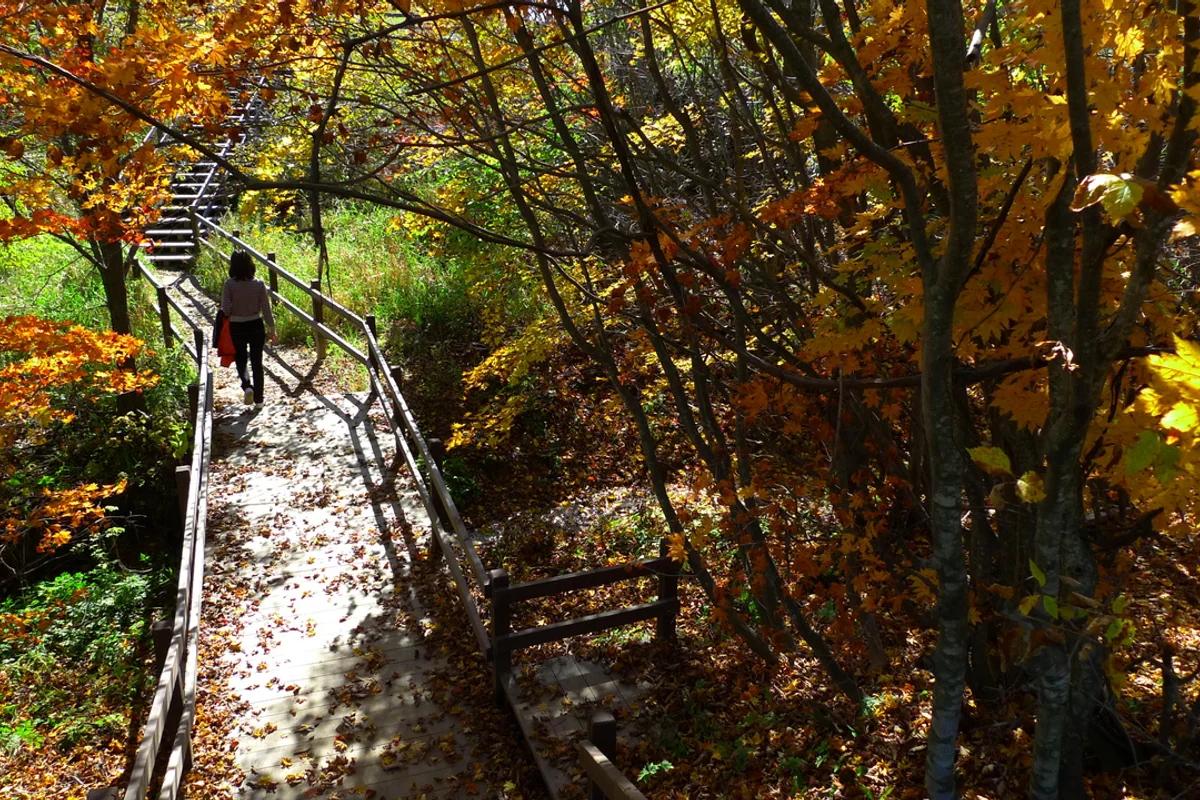 2026 삼양 봄 여행, 강북구에서 만나는 자연 명소 BEST 5