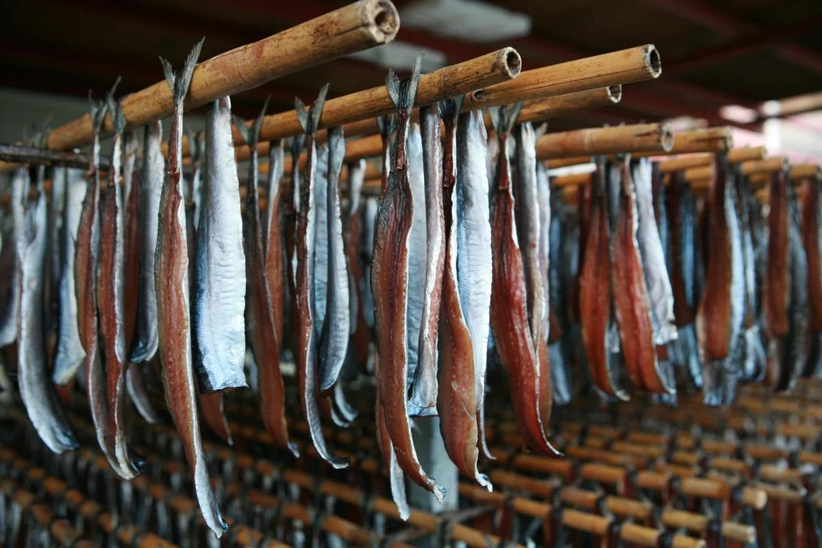 포항시 패러글라이딩 BEST 5, 2026년 놓치지 말아야 할 명소