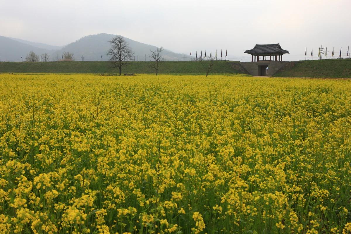 해미읍성 가는법, 따뜻한 봄날 거닐기 좋은 역사 명소 5곳