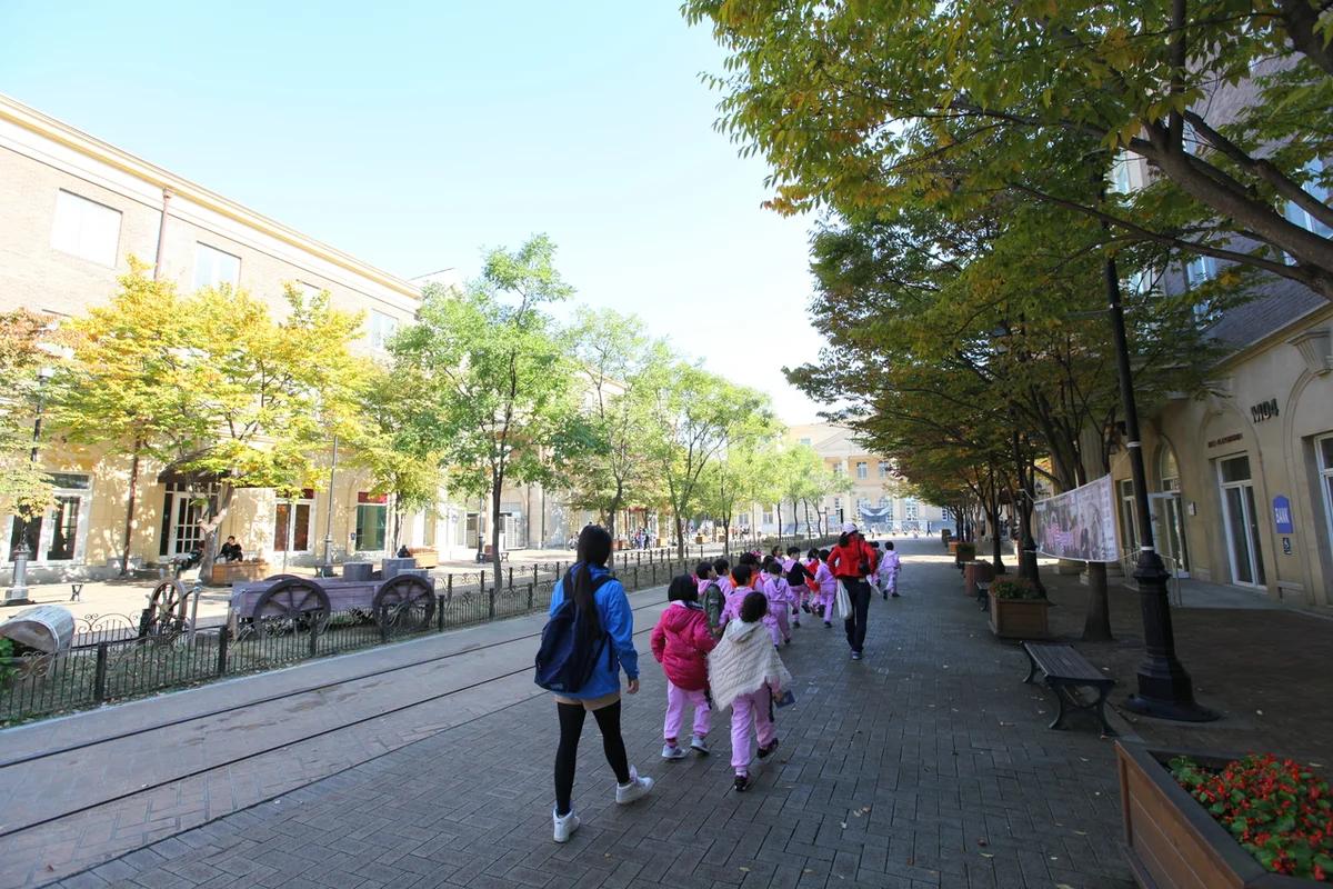 2026 구로구 나들이, 봄꽃과 자연이 어우러진 베스트 여행지 5곳