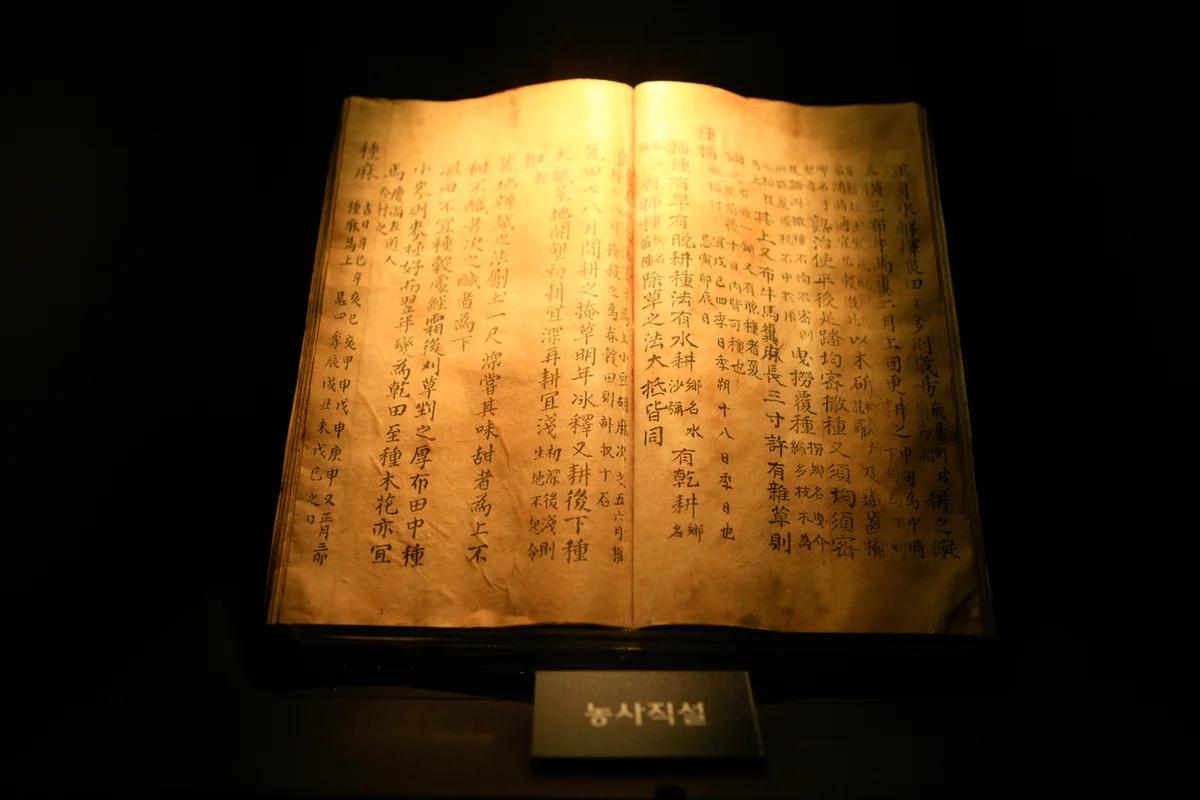 사직 부모님 모시고 2026년 봄 추천 코스: 여유롭게 즐기는 서울 나들이 6곳