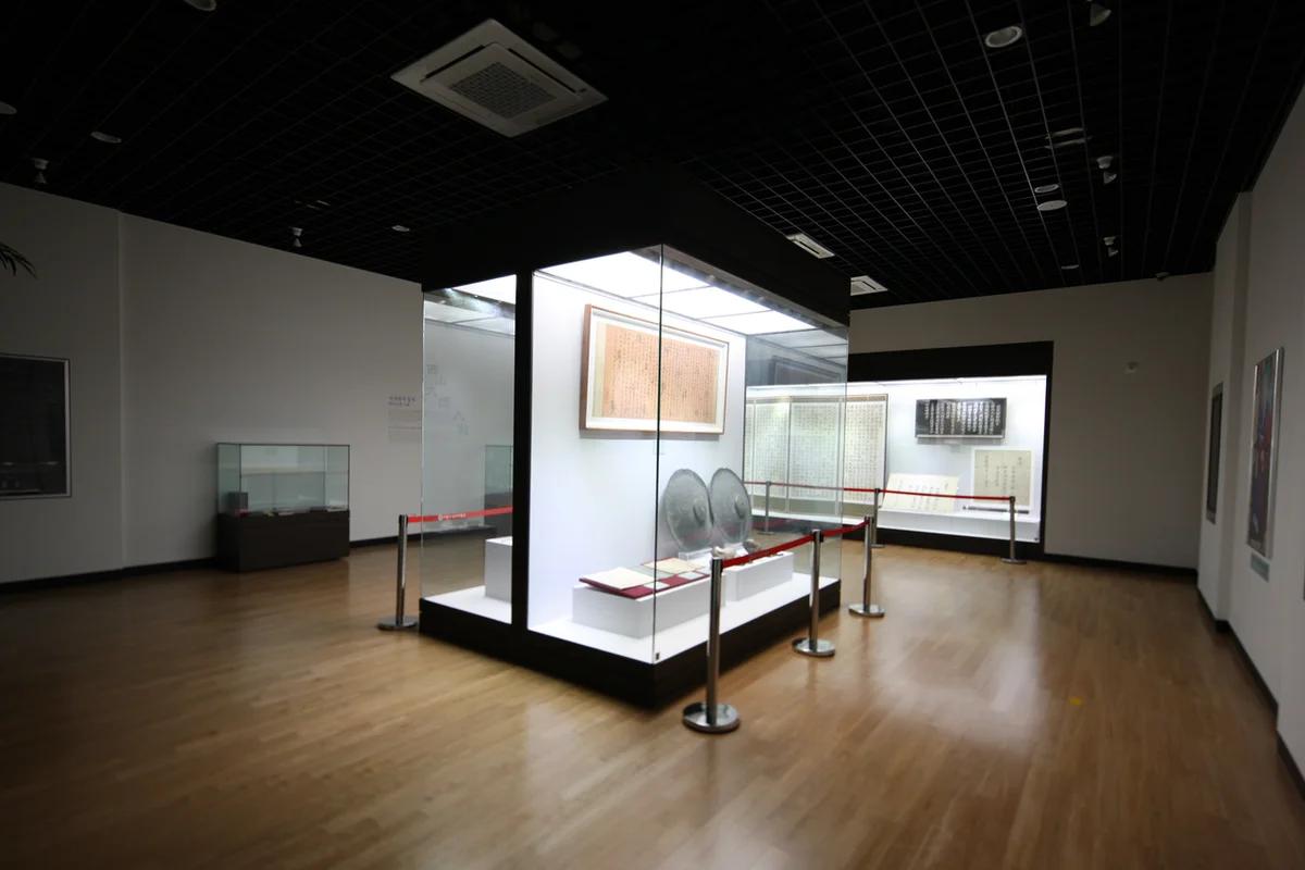 해남군 혼행, 2026년 봄 완벽 가이드! 놓칠 수 없는 명소 6곳