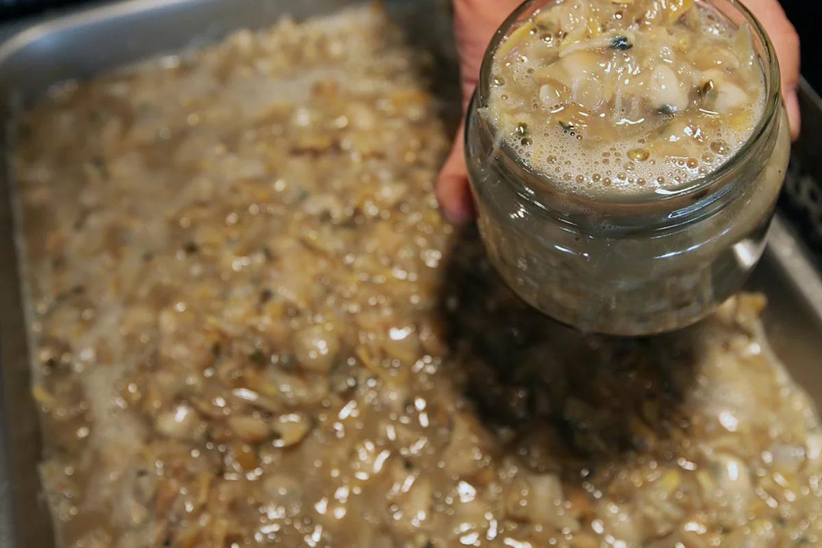 2026 남해독일마을 전통시장, 봄맞이 가볼 만한 곳 추천 5곳