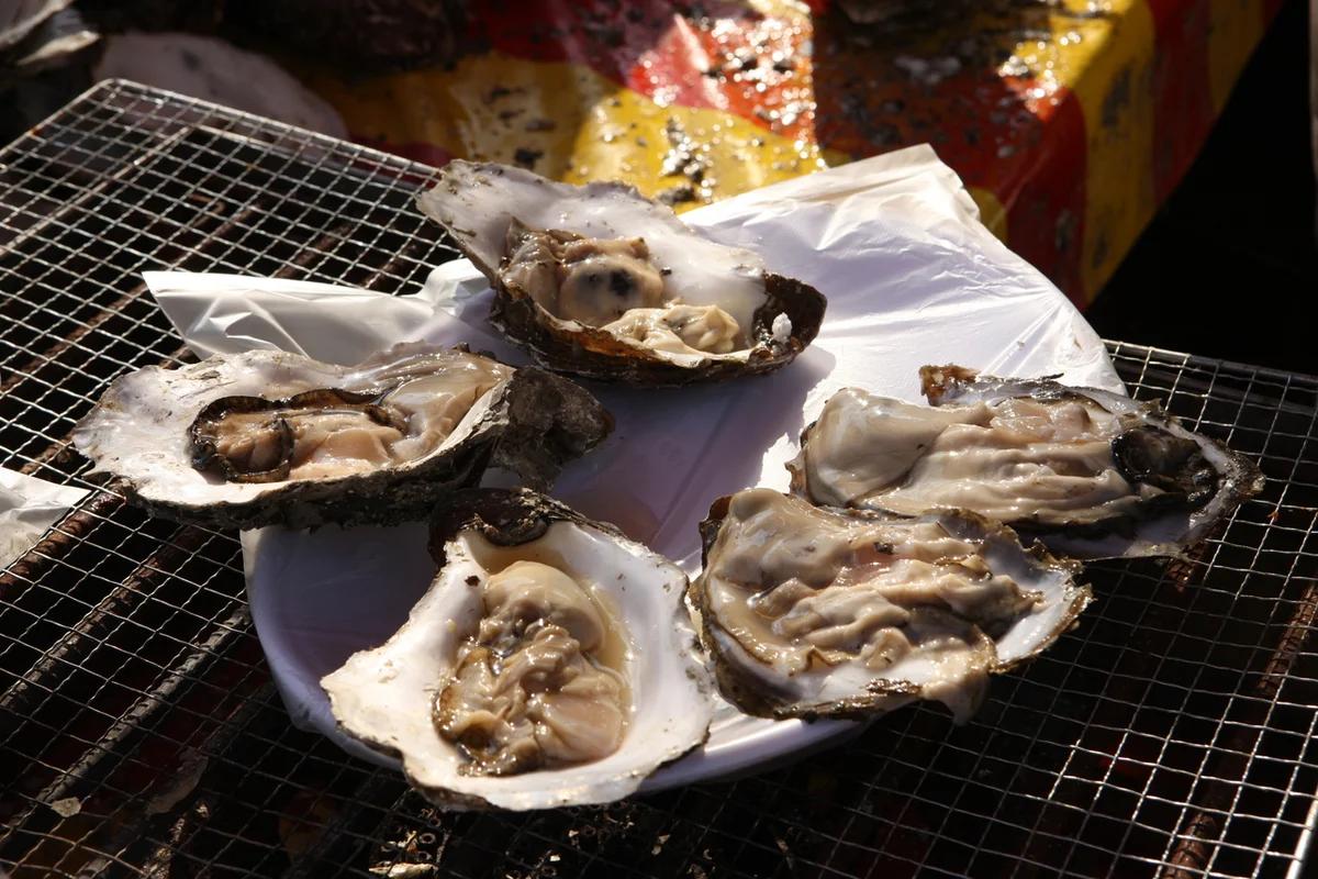 2026 하동군 놀거리 봄맞이 가이드, 꼭 가봐야 할 6곳