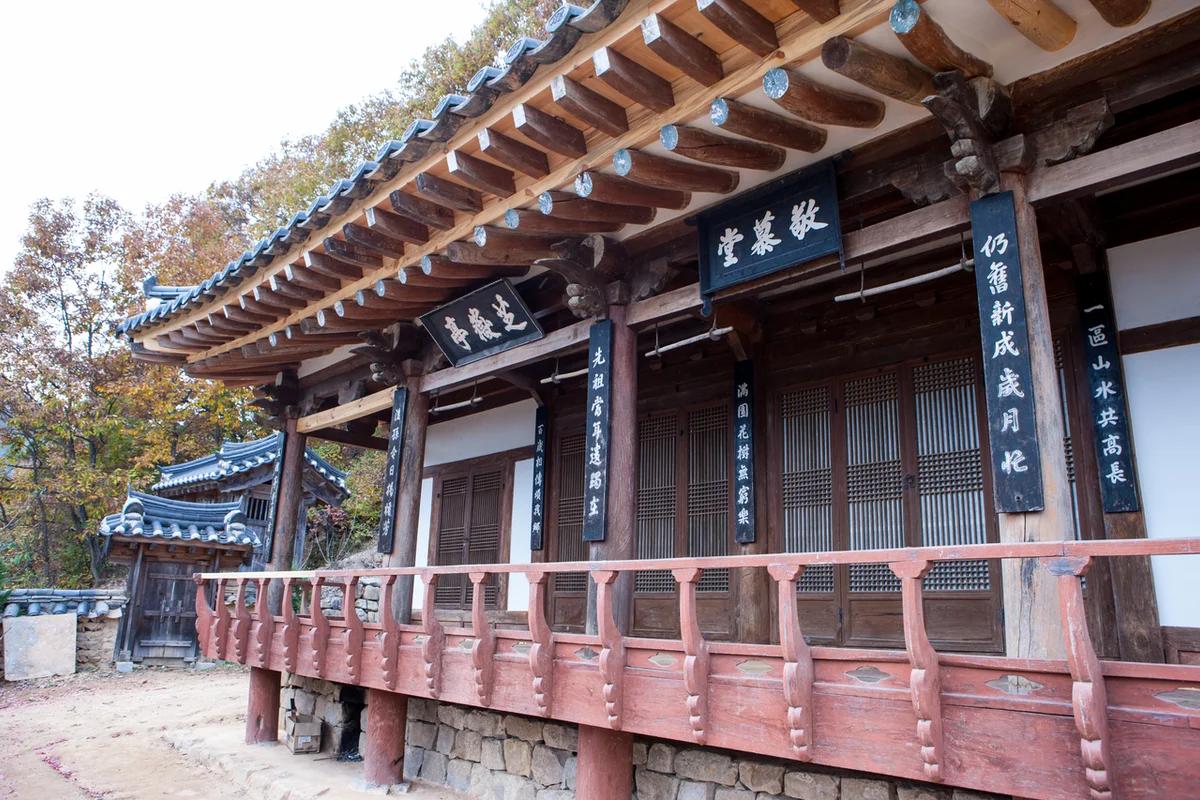 대정 나들이 2026 최신판: 봄날 떠나기 좋은 명소 6곳