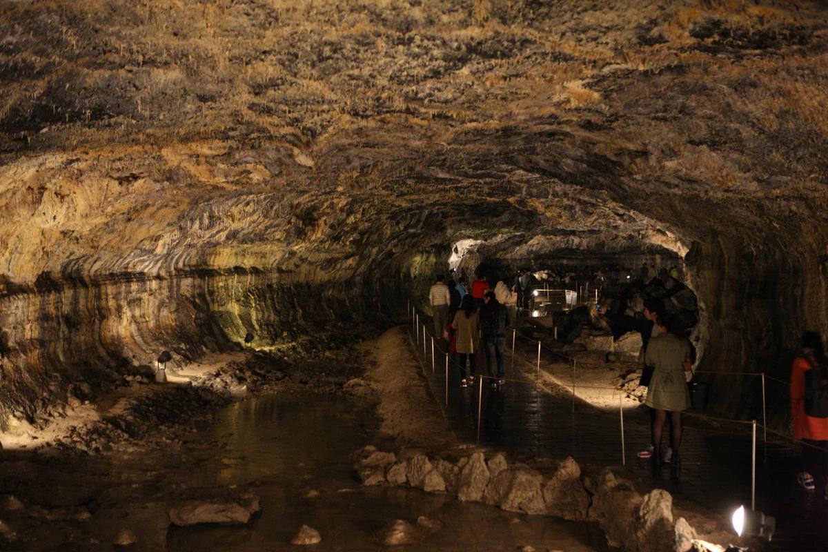 협재 드라이브, 2026년 봄 놓치면 후회할 추천 5곳