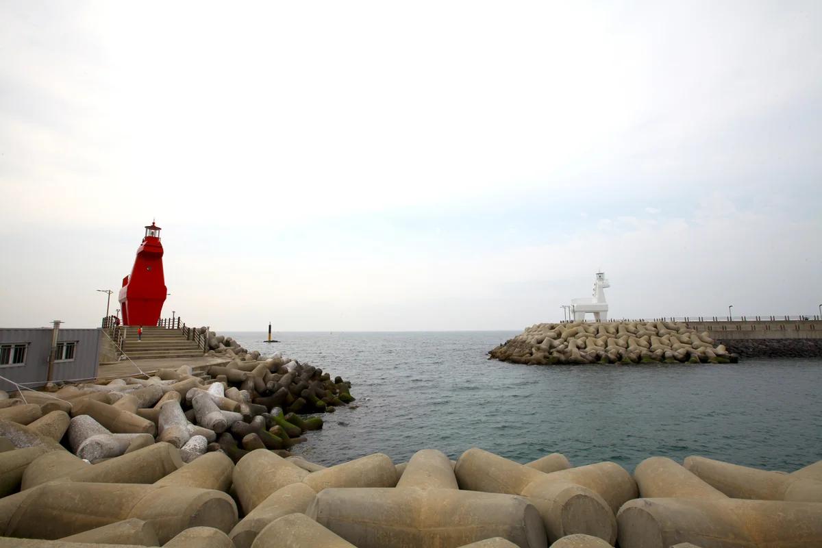 2026 제주시내 뷰 좋은 곳, 봄 햇살 머금은 인생샷 명소 BEST 5