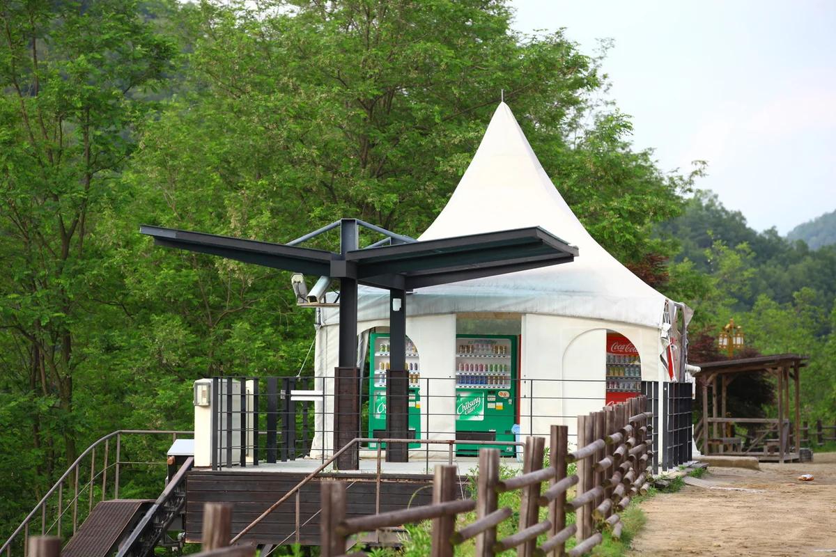 합정 체험, 2026년 봄 놓치지 말아야 할 명소 6곳