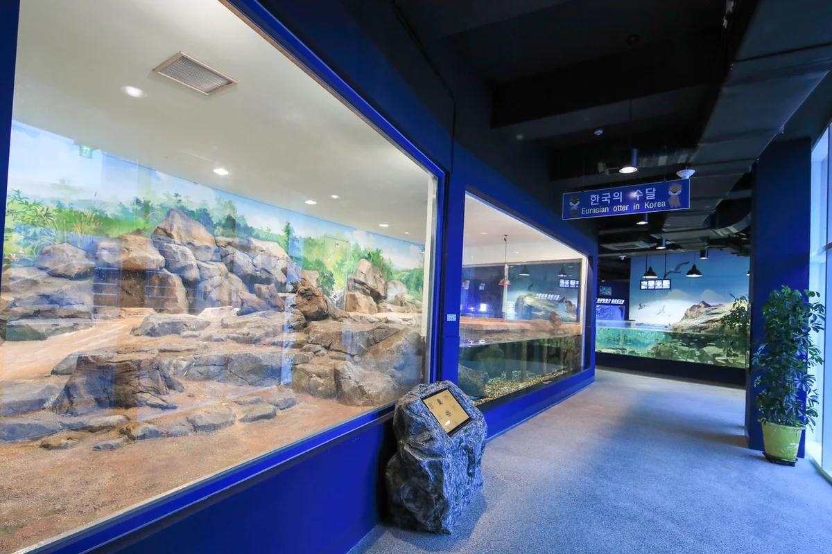 참소리박물관 근처 숙소 2026, 강릉 경포대 봄 여행을 위한 BEST 5 숙소 & 즐길거리