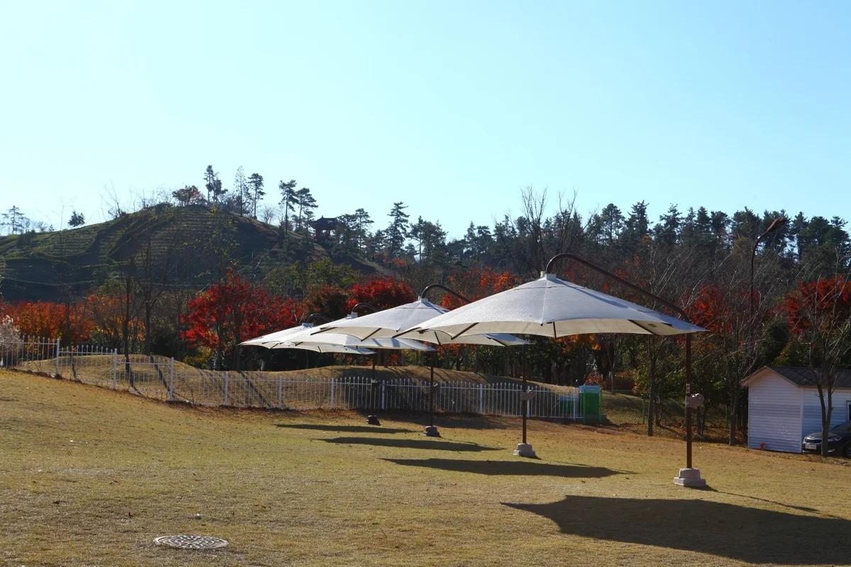 순천만국가정원 데이트 코스 2026 봄, 싱그러움 가득한 추천 5곳