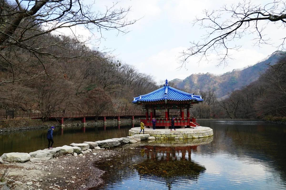 내장산 골프장 2026 봄 코스 추천부터 주변 명소까지 완벽 가이드